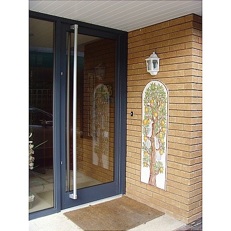 149 - Coloured Aluminium Commercial Entrance Door